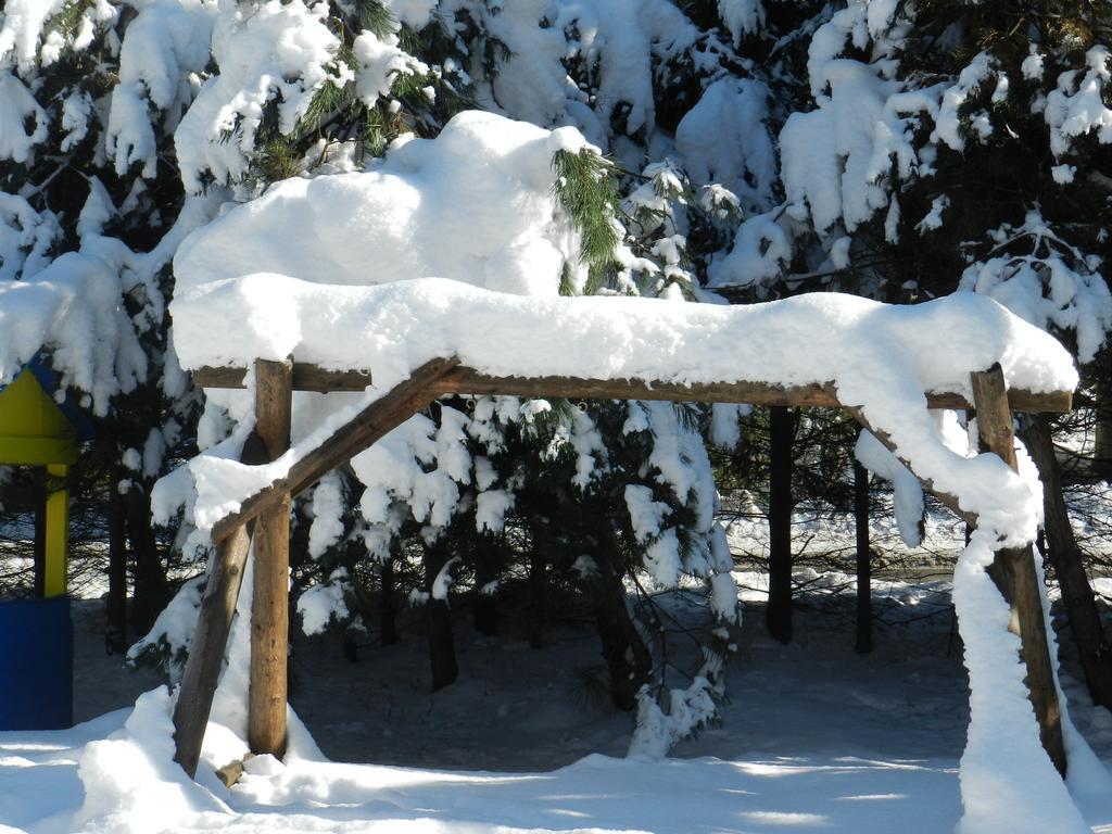 Penzion Limba Demanovska Dolina Exteriör bild