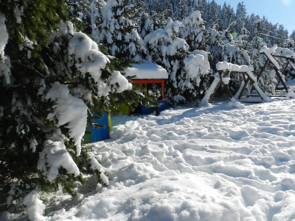 Penzion Limba Demanovska Dolina Exteriör bild